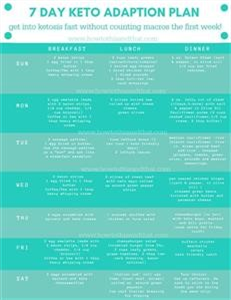 Best Keto Meal Plan to Lose Weight